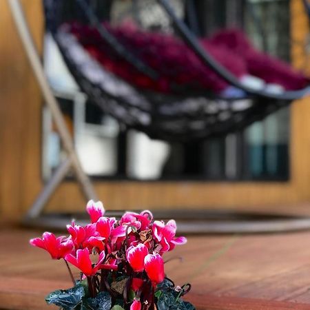 Onehunga Garden Tinyhouse With Parking Hotel โอ๊คแลนด์ ภายนอก รูปภาพ