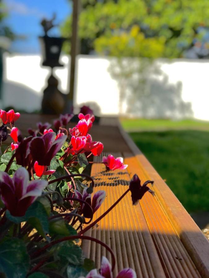 Onehunga Garden Tinyhouse With Parking Hotel โอ๊คแลนด์ ภายนอก รูปภาพ